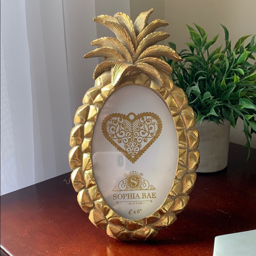 Pineapple Photo Frame